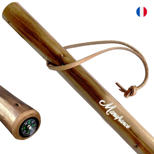 LEKI Cressida FX Carbon : un bâton de randonnée haut de gamme LEKI Cressida FX Carbon : un bâton de randonnée haut de gamme