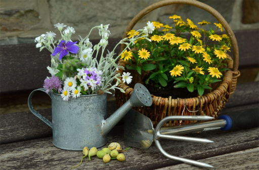 Bientôt le printemps pour votre jardin! Pensez à activer le mode jardinage!