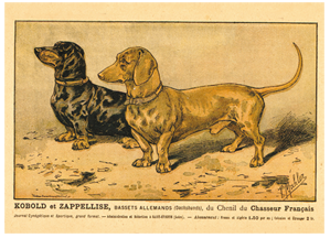 Koobold and Zappellise poster
