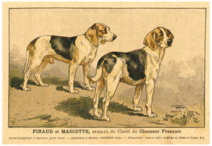 Affiche Finaud et Mascotte